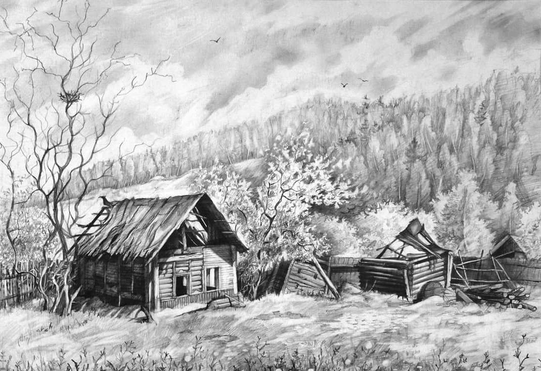 Nature drawing 1 hour duration - Ralphex pencil works | Facebook