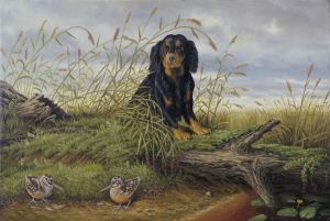Painting, Landscape - kopiya--Koker-spaniel-i-valdshnep-Artur-Fitcvilyam-Teyt-1865