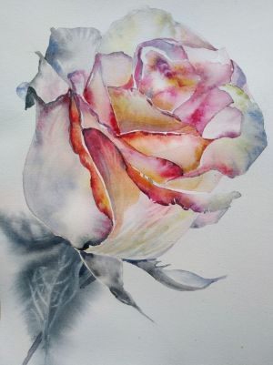 Painting, Realism - Rose