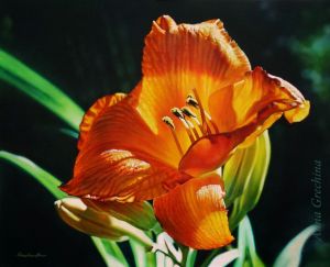 Painting, Still life - Orange Lily
