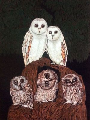 Graphics, Animalistics - Owls