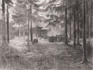Graphics, Landscape - Forest glade