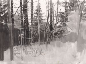 Graphics, Drawing ink - Forest