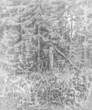 Graphics, Landscape - Forest raspberry