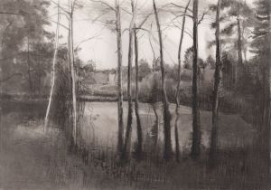 Graphics, Landscape - Overgrown pond