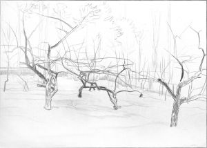 Graphics, Pencil - Apple orchard in winter