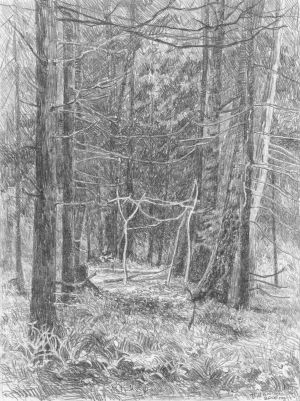 Graphics, Pencil - Forest hut