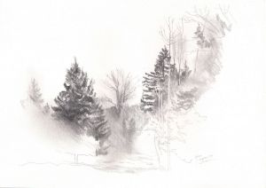 Graphics, Realism - A sketch of a forest clearing