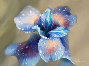Painting, Still life - Iris Flower After Rain