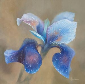 Painting, Still life - Iris flower after rain #4