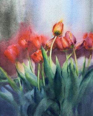 Graphics, Watercolor  - Tulips