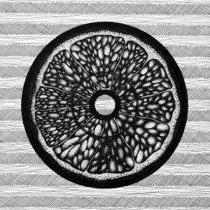 Graphics, Interior - Citrus Fruit section Orange Lemon