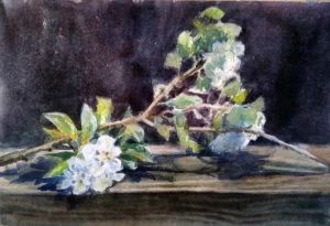 Graphics, Still life - Apple blossom