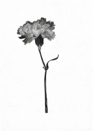 Graphics, Minimalism - The black flower